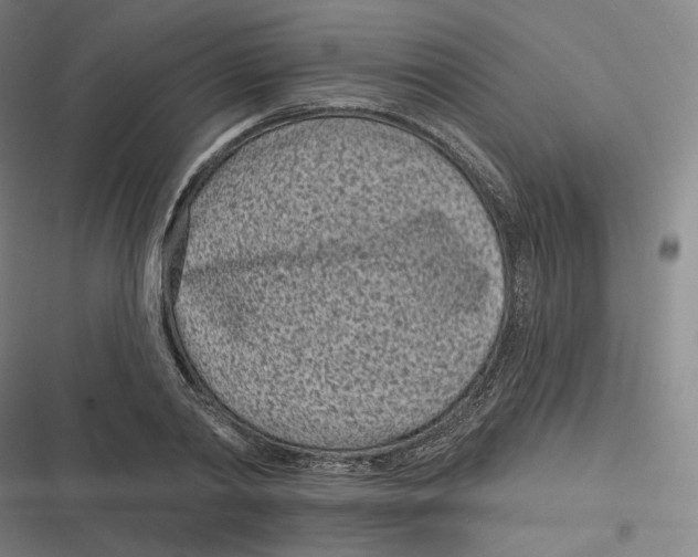 X0000116810790201001081354