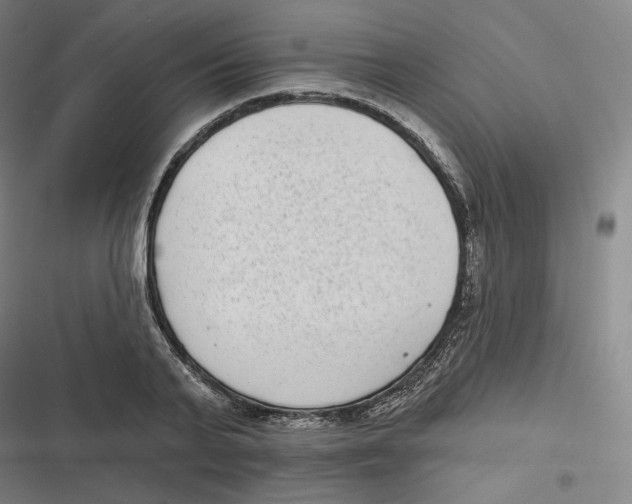 X0000116810791201001081354