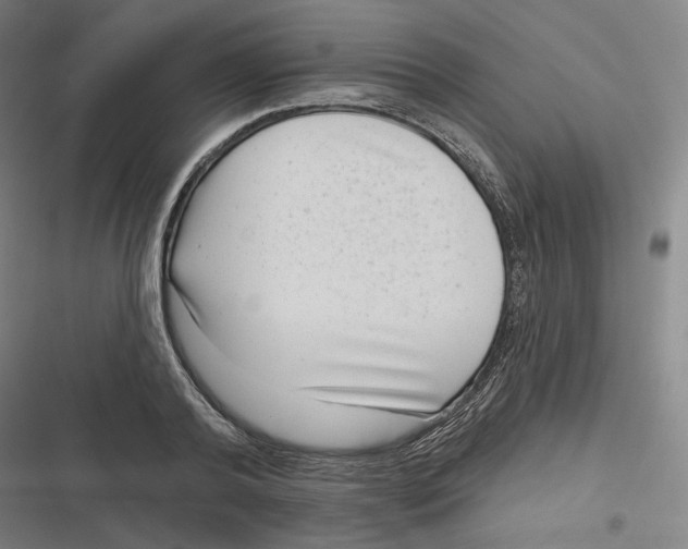 X0000116810792201001081354