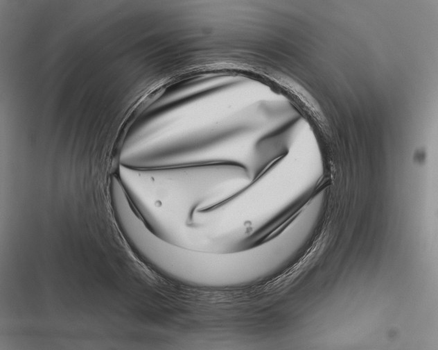 X0000116810793201001081354