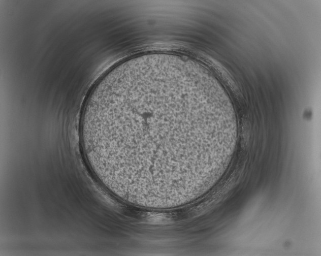 X0000116810794201001081354