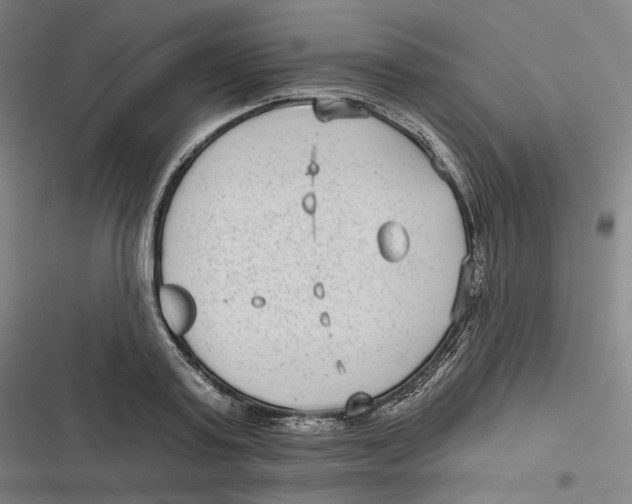 X0000116810795201001081354