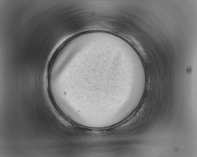 X0000116810796201001081354