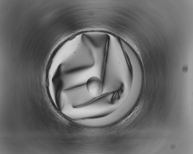 X0000116810797201001081354