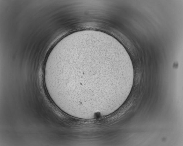 X0000116810798201001081354