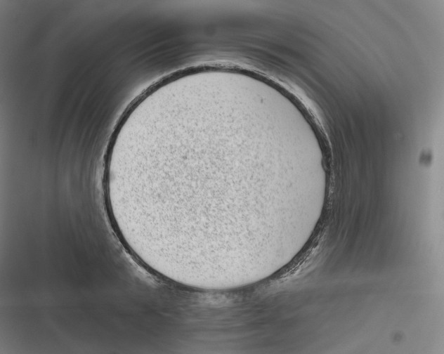 X0000116810799201001081354