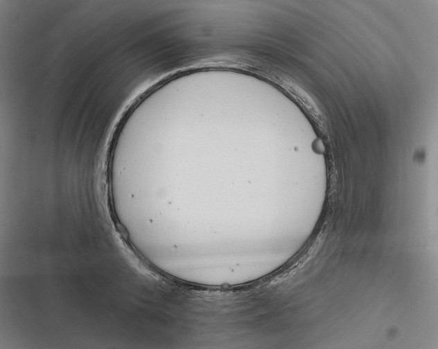 X0000116810800201001081354