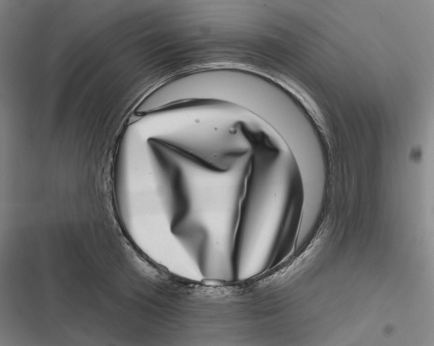 X0000116810801201001081354