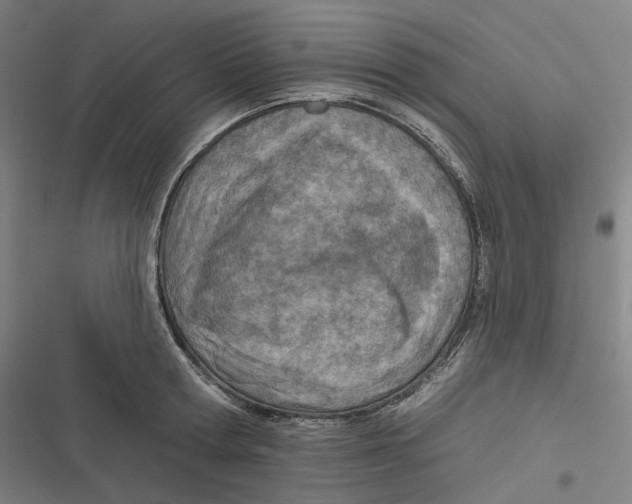 X0000116810802201001081354