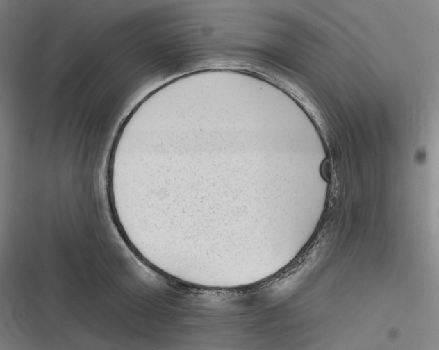 X0000116810803201001081354