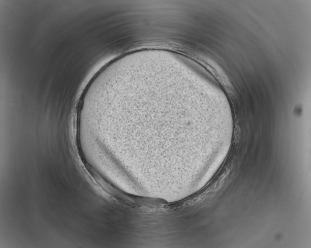 X0000116810804201001081354