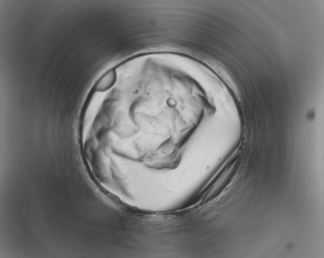 X0000116810805201001081354