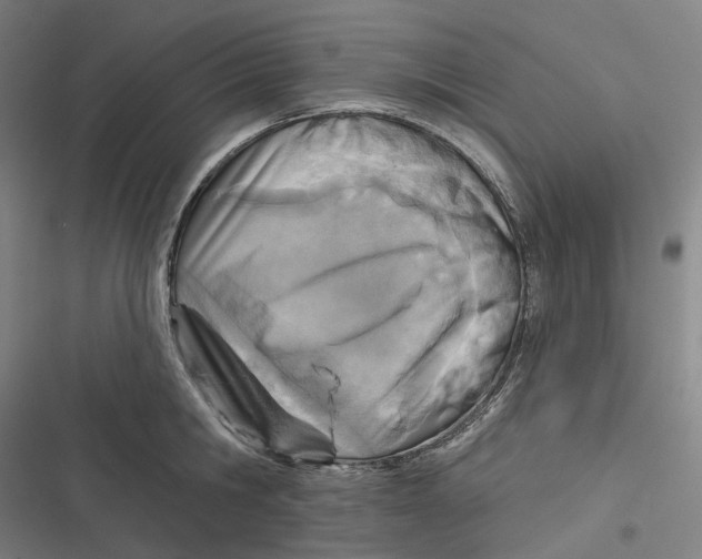 X0000116810806201001081354