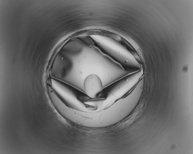 X0000116810807201001081354