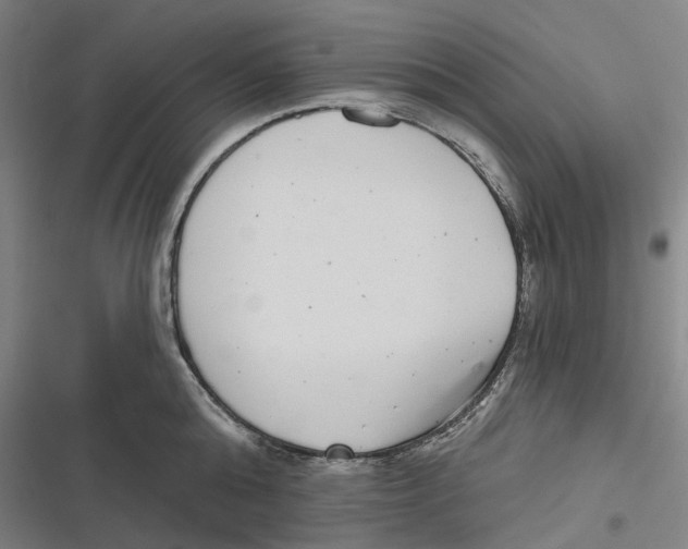 X0000116810808201001081354