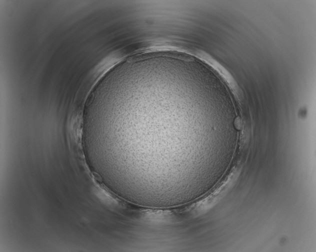 X0000116810809201001081354