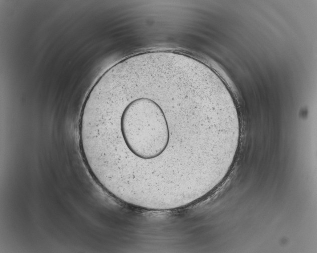 X0000116810810201001081354