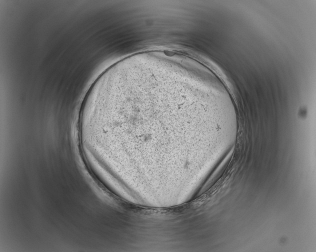 X0000116810811201001081354