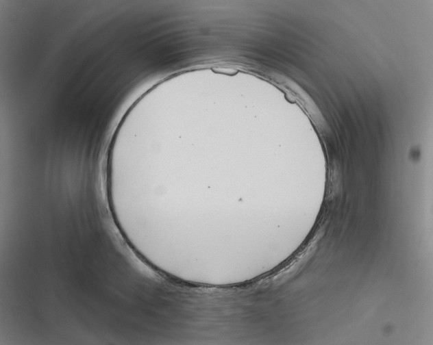 X0000116810812201001081354