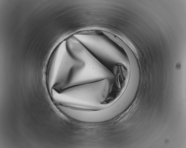 X0000116810813201001081354