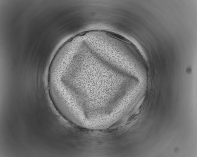 X0000116810815201001081354