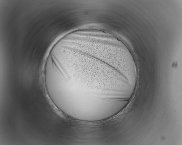 X0000116810816201001081354