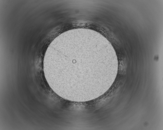 X0000116810820201001081353