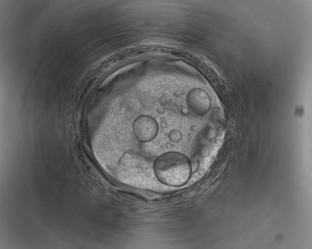 X0000116810821201001081353