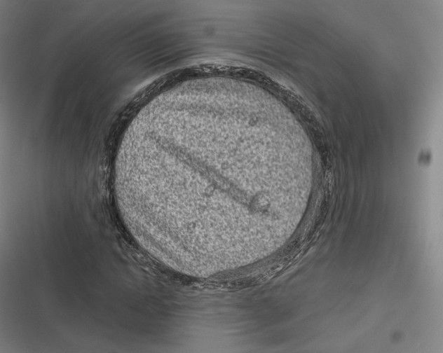 X0000116810822201001081353