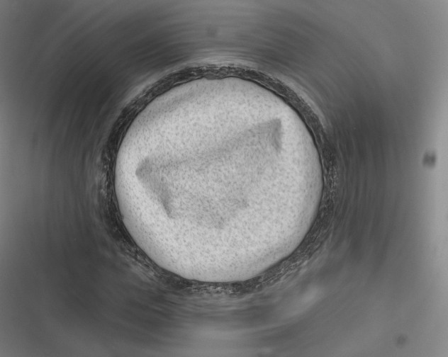 X0000116810823201001081353