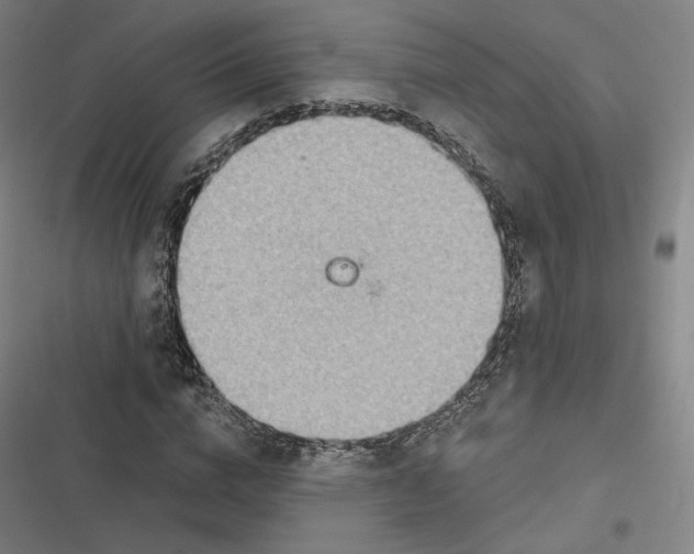 X0000116810824201001081353