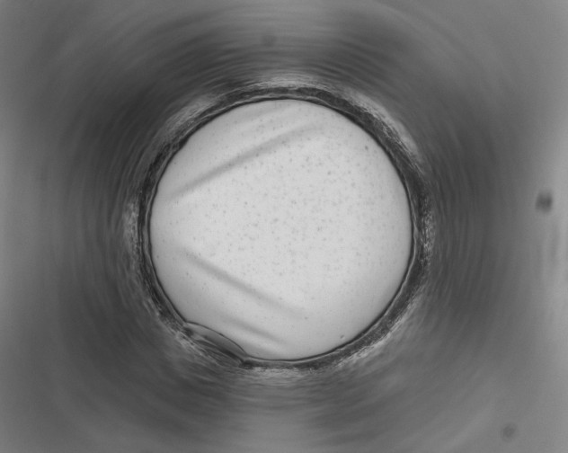 X0000116810825201001081353