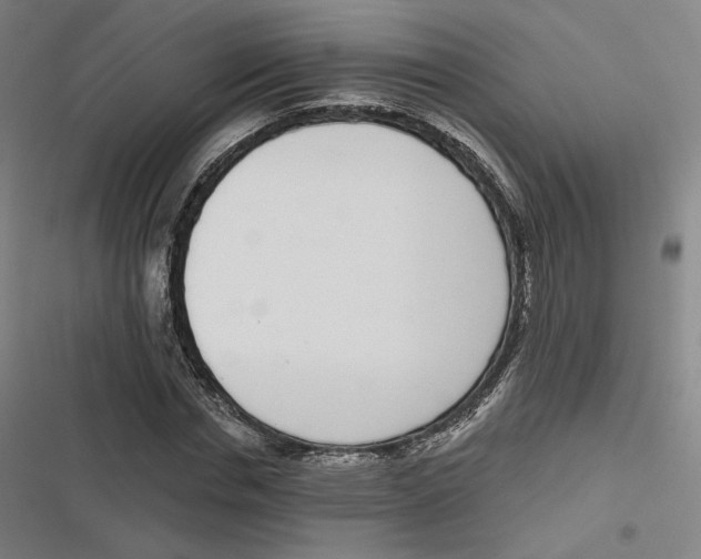 X0000116810826201001081353