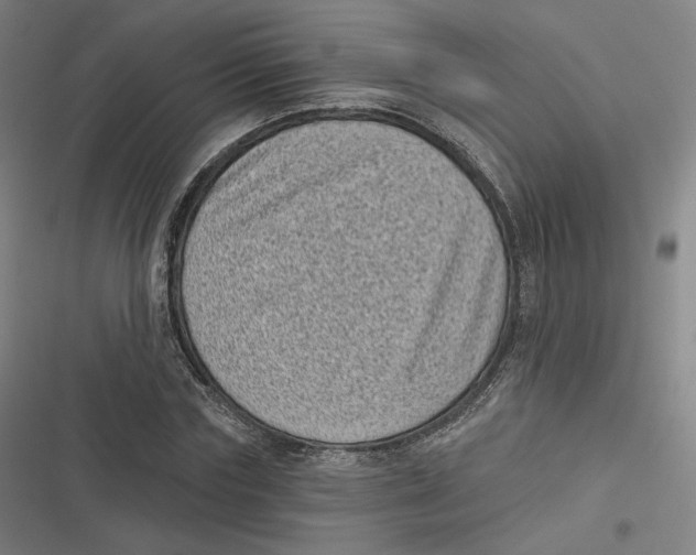 X0000116810827201001081353