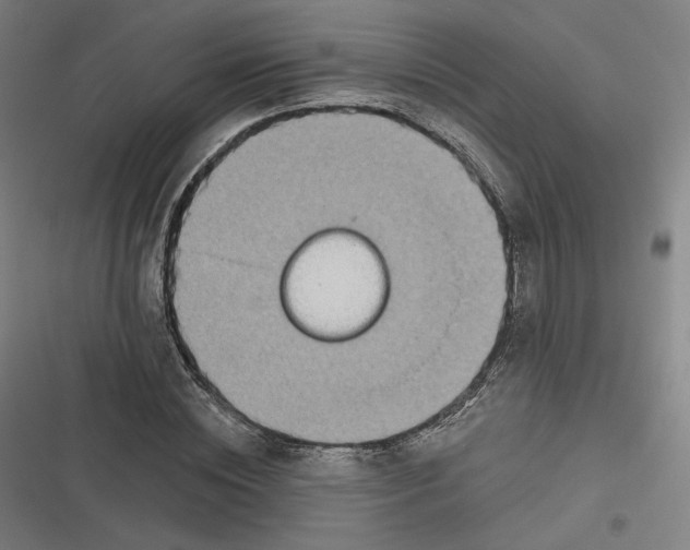 X0000116810828201001081353