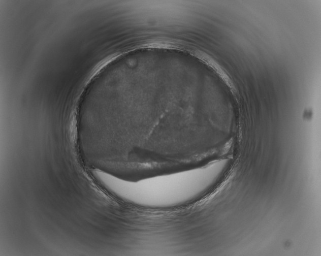 X0000116810829201001081353