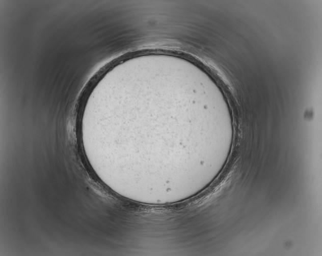 X0000116810830201001081353