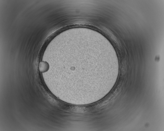 X0000116810831201001081353