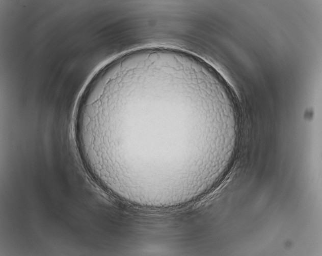 X0000116810832201001081353