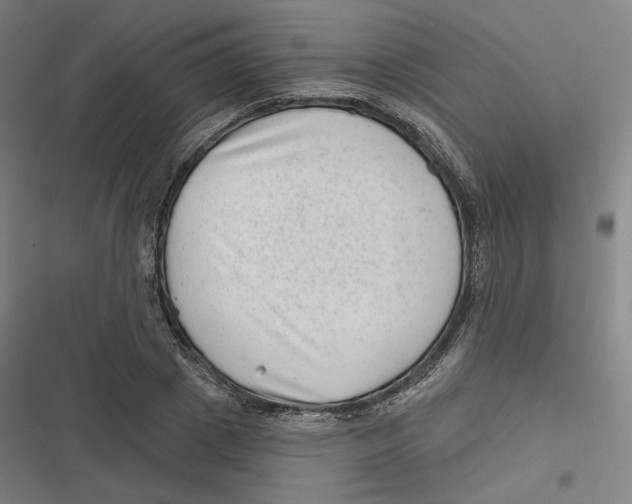 X0000116810833201001081353