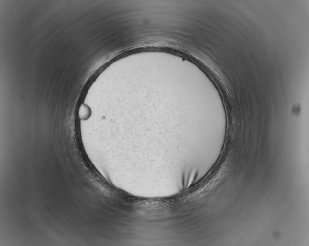 X0000116810834201001081353