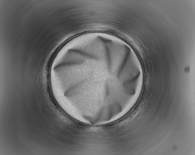 X0000116810835201001081353