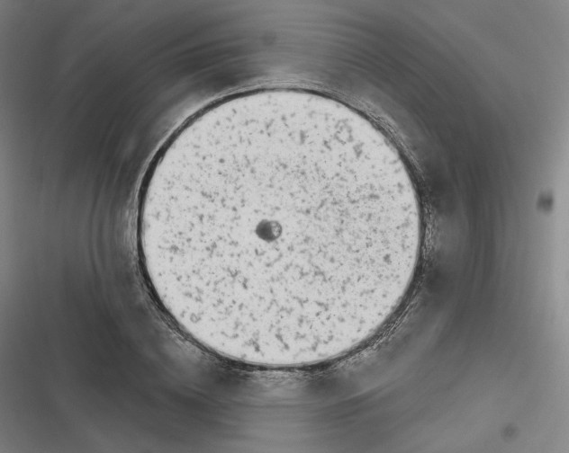 X0000116810836201001081353