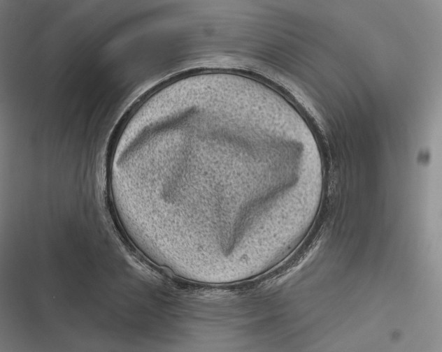 X0000116810837201001081353