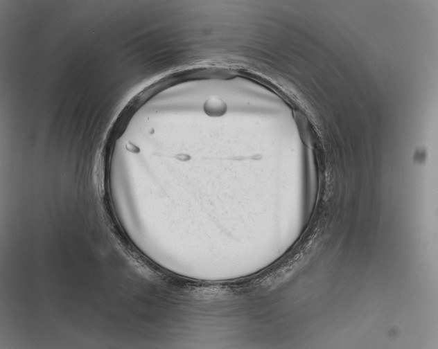 X0000116810838201001081353