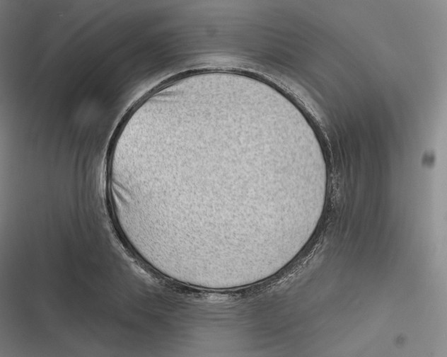 X0000116810839201001081353