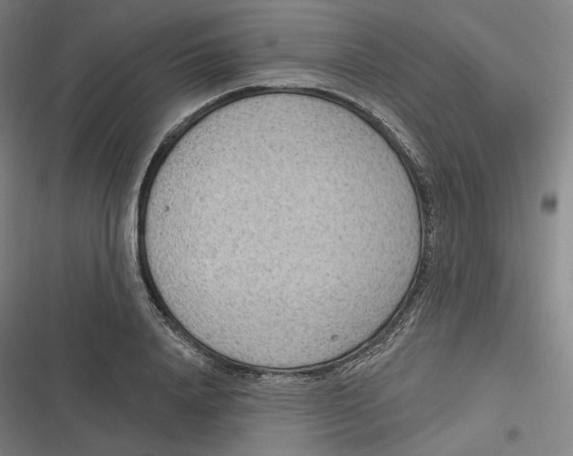 X0000116810840201001081353