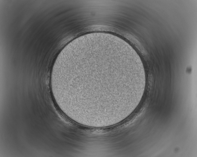 X0000116810841201001081354