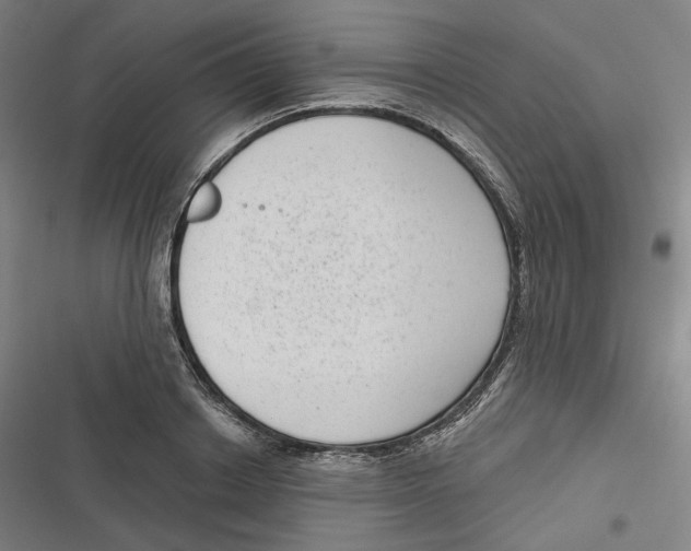 X0000116810842201001081354