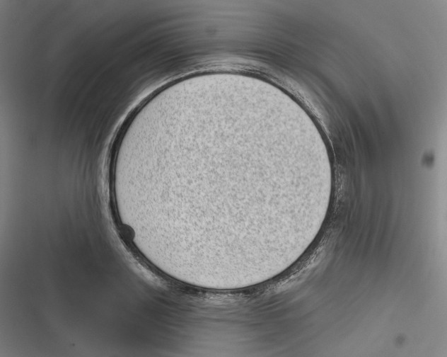 X0000116810843201001081354